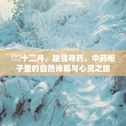 物是人非 第2页