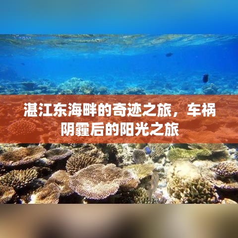 湛江东海奇迹之旅，车祸阴霾后的阳光重生之旅