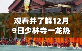 观看少林寺一龙热门比赛的全方位步骤指南（12月9日）