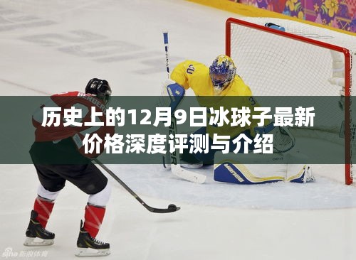 历史上的冰球子最新价格深度评测与介绍，深度了解冰球子背后的故事