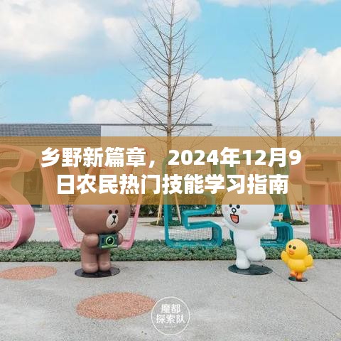 乡野新篇章，农民热门技能学习指南（2024年12月9日版）