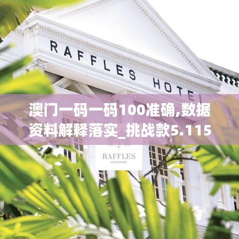 澳门一码一码100准确,数据资料解释落实_挑战款5.115