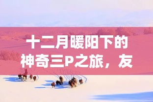 十二月暖阳下的神奇三P之旅，友谊的温馨日常体验