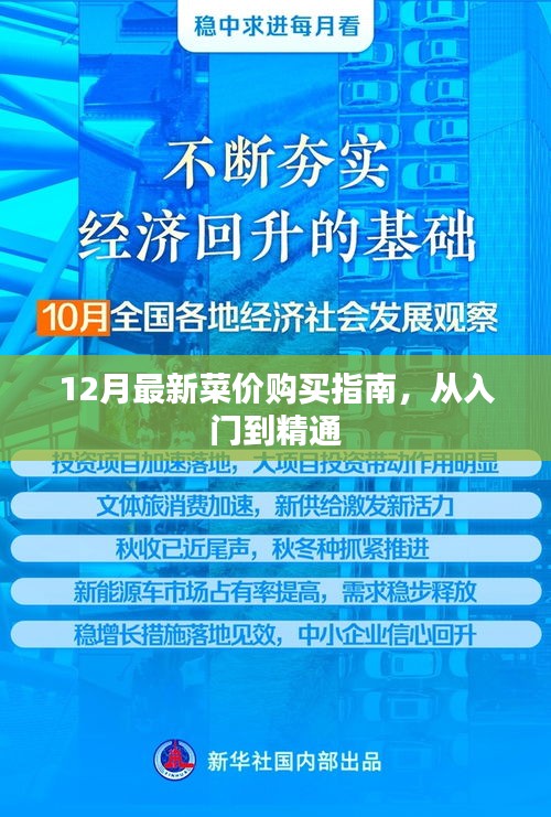 从入门到精通，12月最新菜价购买指南