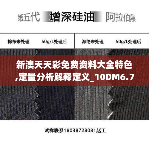 新澳天天彩免费资料大全特色,定量分析解释定义_10DM6.788