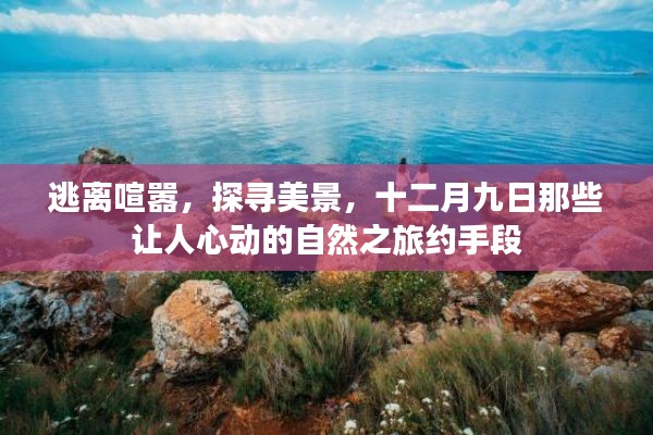 十二月九日自然之旅，逃离喧嚣，探寻美景的心动之旅