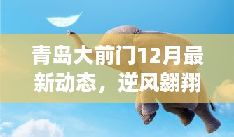 青岛大前门逆风翱翔，最新动态展现自信与辉煌学习成果