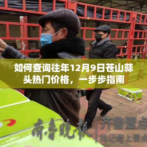 查询往年12月9日苍山蒜头热门价格指南