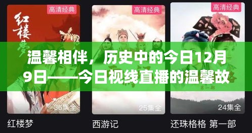 温馨相伴，今日视线直播中的历史与故事——12月9日的温馨篇章
