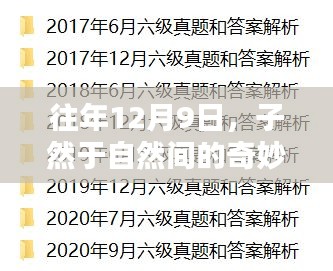 子然于自然间的奇妙转折——每年的12月9日观察