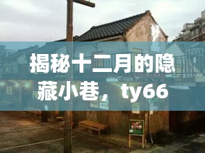 揭秘十二月隐藏小巷的神秘魅力，ty66特色小店探秘之旅！