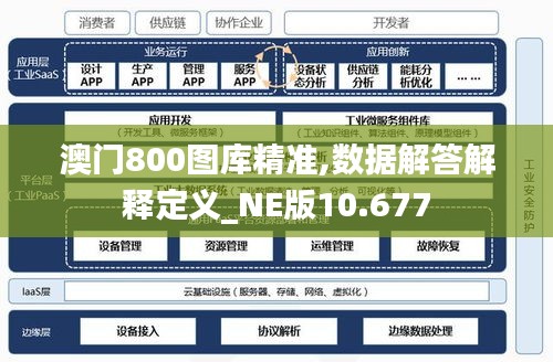 澳门800图库精准,数据解答解释定义_NE版10.677