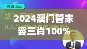 2024澳门管家婆三肖100%,灵活性策略设计_NE版7.818