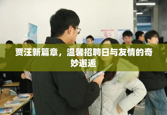 贾汪新篇章，招聘日与友情的奇妙交汇点