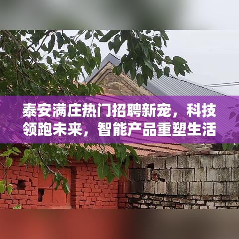 泰安满庄科技招聘新宠，智能产品重塑未来生活体验