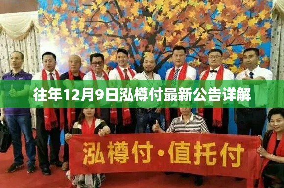 往年12月9日泓樽付最新公告全面解析