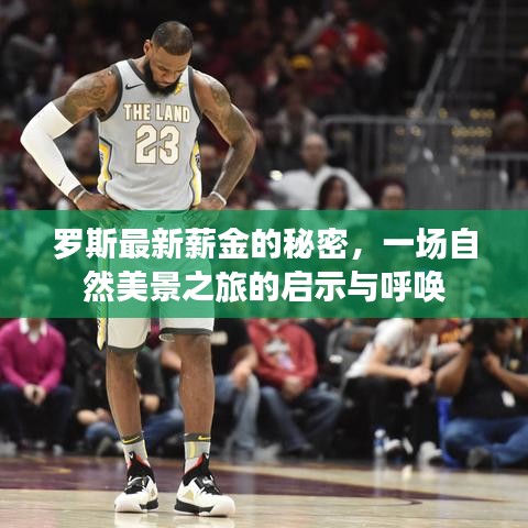 罗斯最新薪金揭秘，自然美景之旅的启示与呼唤