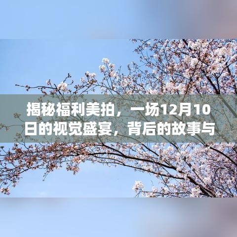 揭秘福利美拍背后的故事与影响，一场视觉盛宴的盛大开启（12月10日）