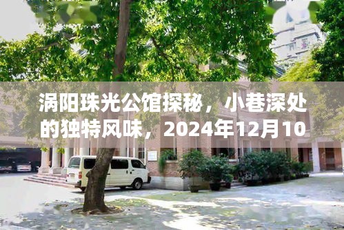 涡阳珠光公馆探秘，小巷深处的独特风味——2024年最新动态揭秘