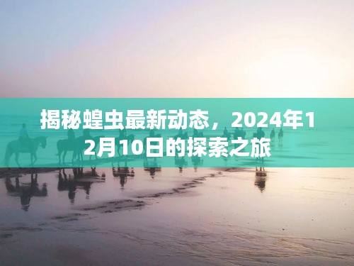 揭秘蝗虫最新动态，探索之旅即将启程，时间指向2024年12月10日