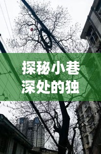 探秘小巷深处的独特风味，历史最新填缝故事揭秘