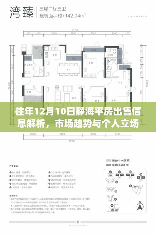 静海平房出售信息解析，市场趋势与个人立场探讨