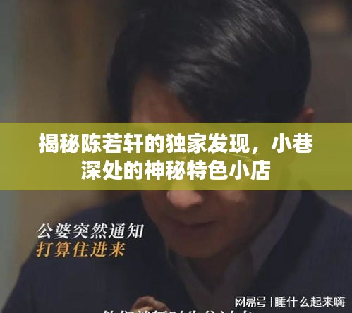 陈若轩独家发现，小巷深处的神秘特色小店探秘之旅