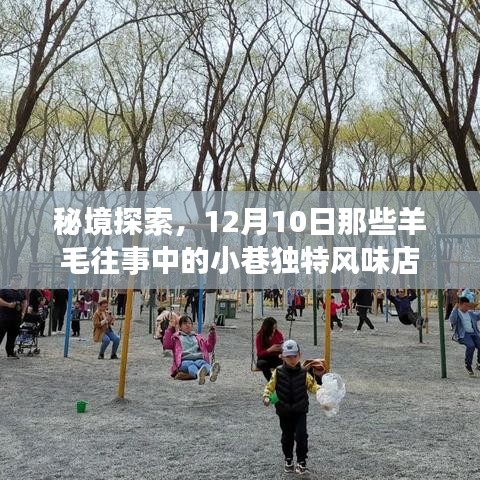 秘境探索，羊毛往事中的小巷独特风味店纪实（12月10日）