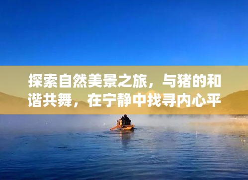 十二月探索自然美景之旅，与猪的和谐共舞，寻找内心平和的养猪新篇章
