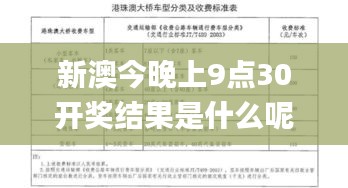 新澳今晚上9点30开奖结果是什么呢,实践分析解释定义_8DM8.888