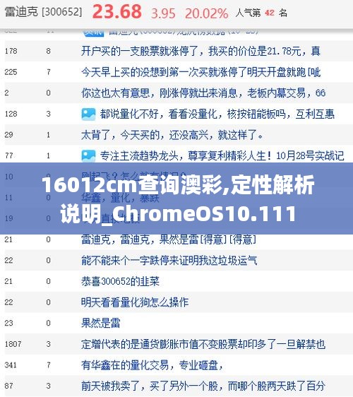 16012cm查询澳彩,定性解析说明_ChromeOS10.111