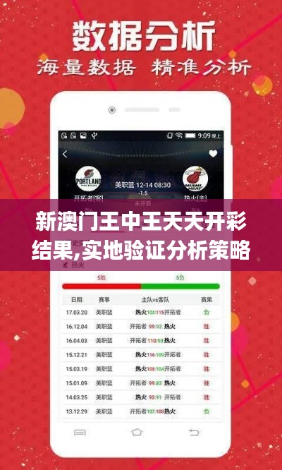 新澳门王中王天天开彩结果,实地验证分析策略_Mixed3.490