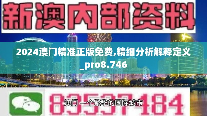 2024澳门精准正版免费,精细分析解释定义_pro8.746