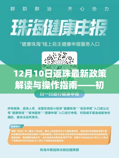 初学者进阶手册，12月10日返珠最新政策解读与操作指南