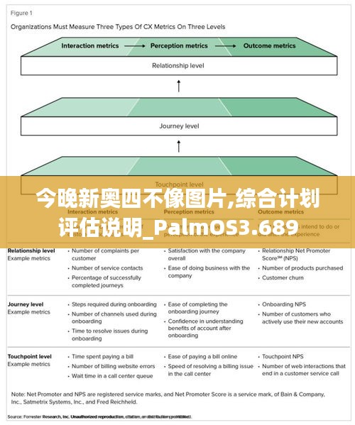 今晚新奥四不像图片,综合计划评估说明_PalmOS3.689