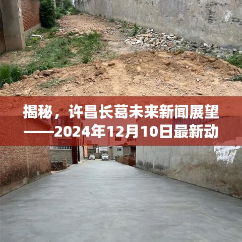 许昌长葛未来展望，最新动态猜想与新闻揭秘（2024年12月10日）