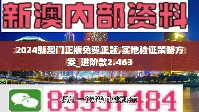 2024新澳门正版免费正题,实地验证策略方案_进阶款2.463