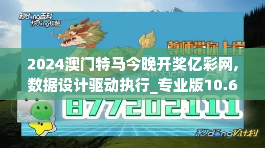 2024澳门特马今晚开奖亿彩网,数据设计驱动执行_专业版10.638