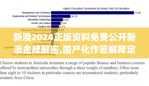 新澳2024正版资料免费公开新澳金牌解密,国产化作答解释定义_复古款6.323