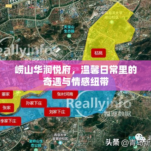 崂山华润悦府，奇遇与情感纽带缔造温馨家园