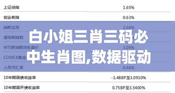 白小姐三肖三码必中生肖图,数据驱动策略设计_3D10.391