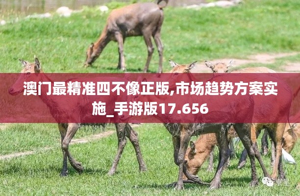澳门最精准四不像正版,市场趋势方案实施_手游版17.656