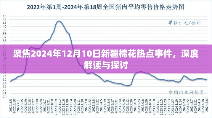 深度解读与探讨，新疆棉花热点事件聚焦在2024年12月10日