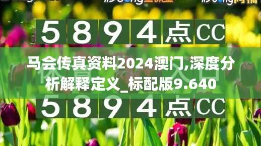 马会传真资料2024澳门,深度分析解释定义_标配版9.640