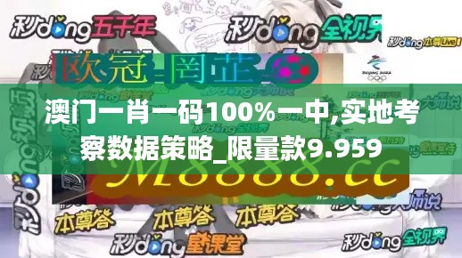 澳门一肖一码100%一中,实地考察数据策略_限量款9.959