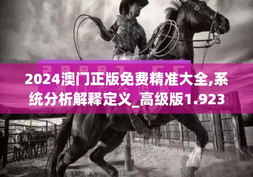 2024澳门正版免费精准大全,系统分析解释定义_高级版1.923