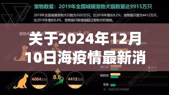 全面解析2024年海疫情最新消息人数，疫情动态与应对策略指南（适合初学者及进阶用户）