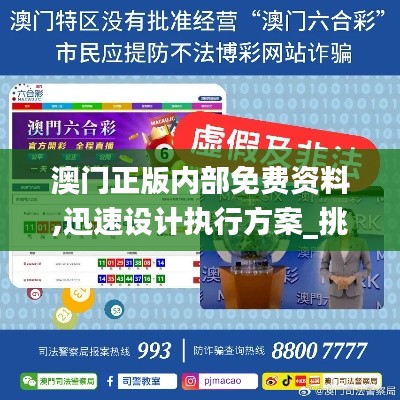 澳门正版内部免费资料,迅速设计执行方案_挑战版6.495