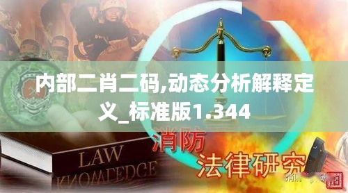 内部二肖二码,动态分析解释定义_标准版1.344