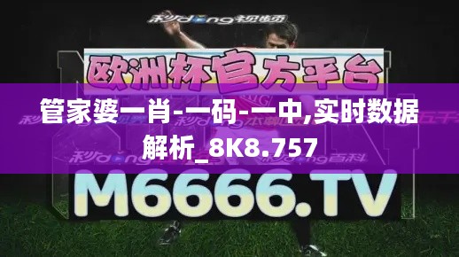 管家婆一肖-一码-一中,实时数据解析_8K8.757